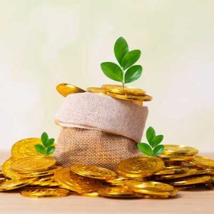 100 Charity Coins Bundle